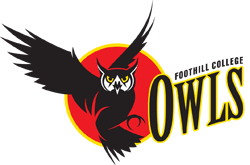 Foothill's owl